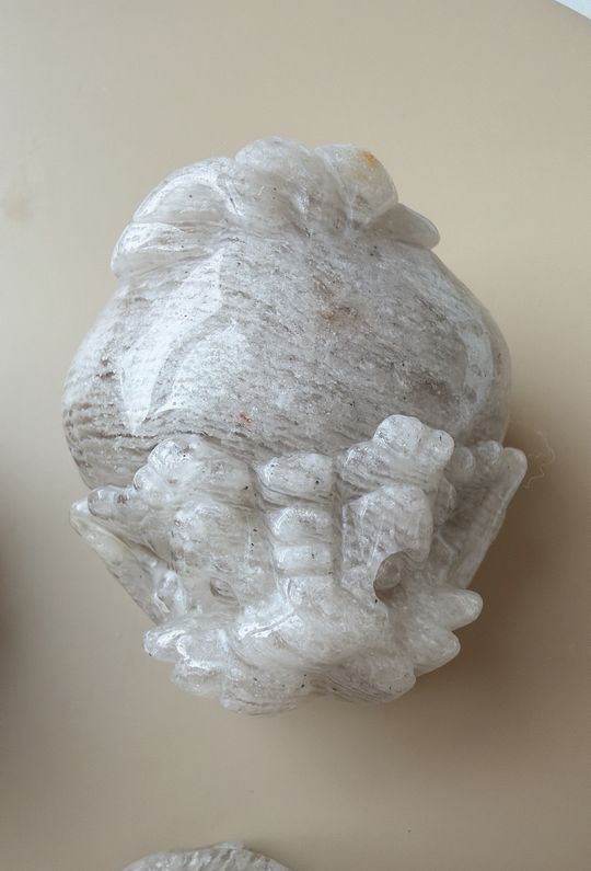 高品稀有珍貴千層白幽靈龍龜 C26101 {預購+現貨}